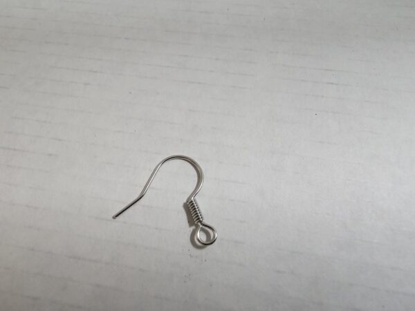 Fish Hook Earring Wires